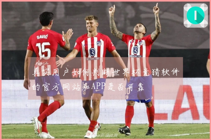 真实用户如何判断世界杯竞猜软件的官方网站和APP是否可靠