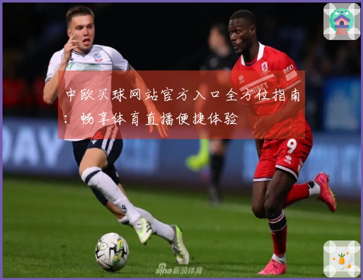 中欧买球网站官方入口全方位指南：畅享体育直播便捷体验