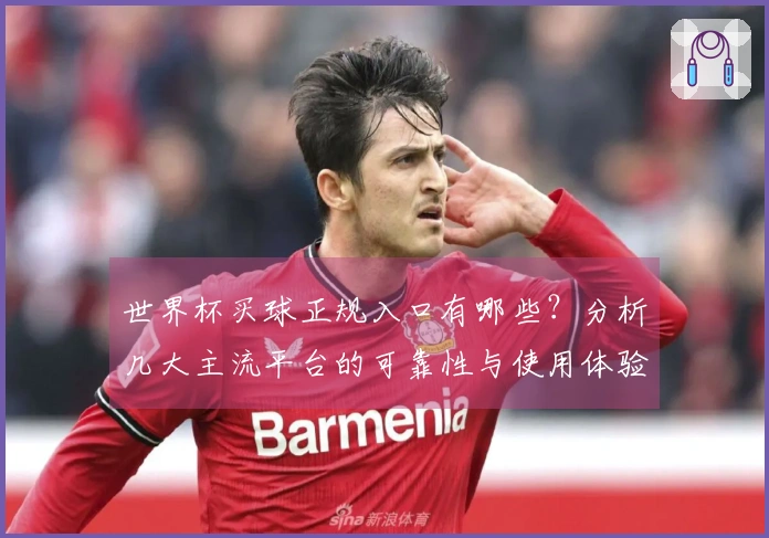 世界杯买球正规入口有哪些？分析几大主流平台的可靠性与使用体验