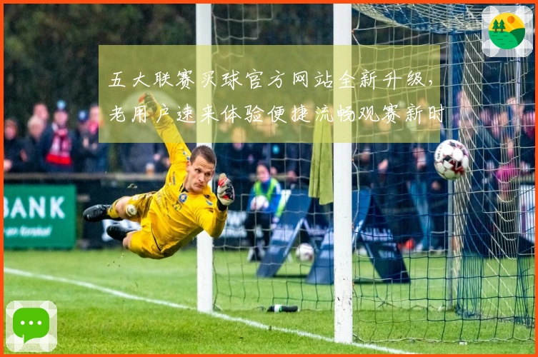五大联赛买球官方网站全新升级，老用户速来体验便捷流畅观赛新时代