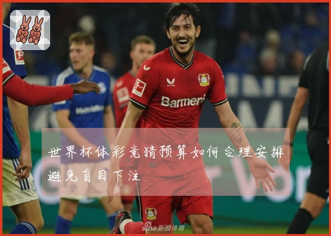 世界杯体彩竞猜预算如何合理安排避免盲目下注