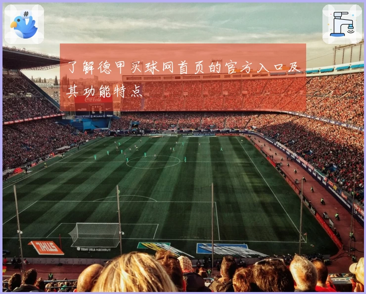 了解德甲买球网首页的官方入口及其功能特点