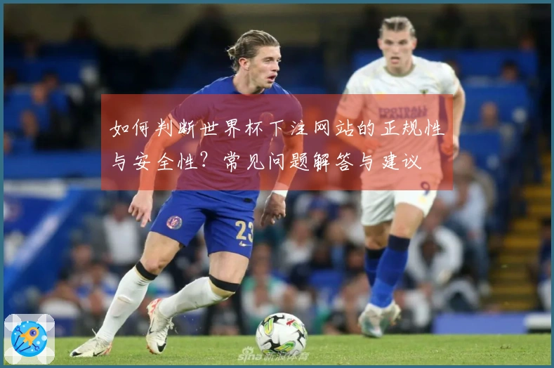 如何判断世界杯下注网站的正规性与安全性？常见问题解答与建议
