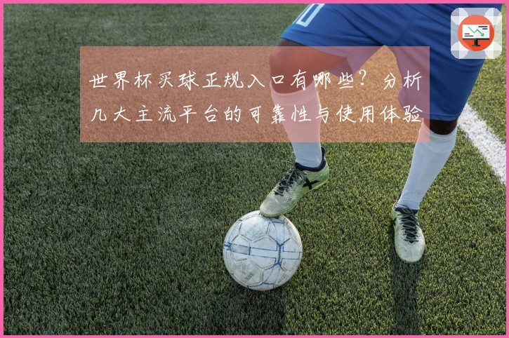 世界杯买球正规入口有哪些？分析几大主流平台的可靠性与使用体验